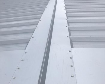 Ausstellungshalle Jeep-Land Fryand, Steg